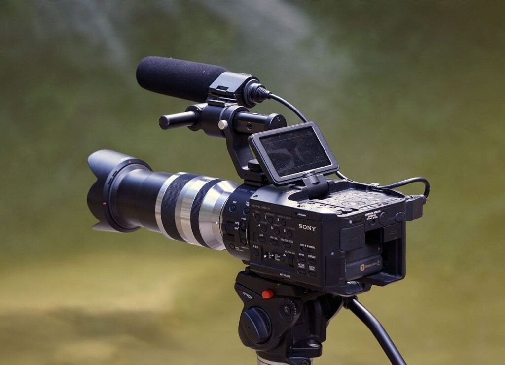 3 Things Everyone Knows About wildlife camera That You Don’t